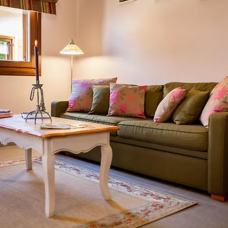 Lions Nine Mourésion