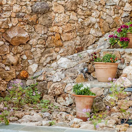 Lions Nine Hotel de apartamente