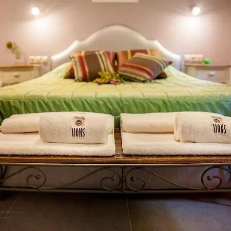 Lions Nine 3* Mouresi