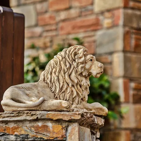 公寓式酒店 九号雄狮酒店 4*