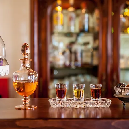 九号雄狮酒店 公寓式酒店 Mourésion