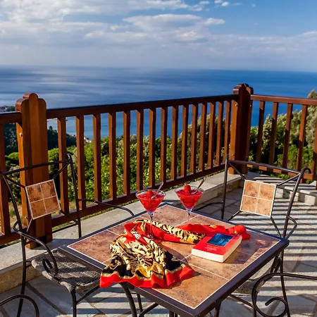 九号雄狮酒店 4* Mourésion