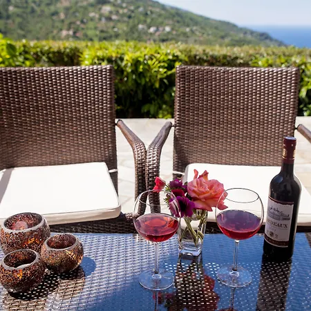 九号雄狮酒店 Mourésion