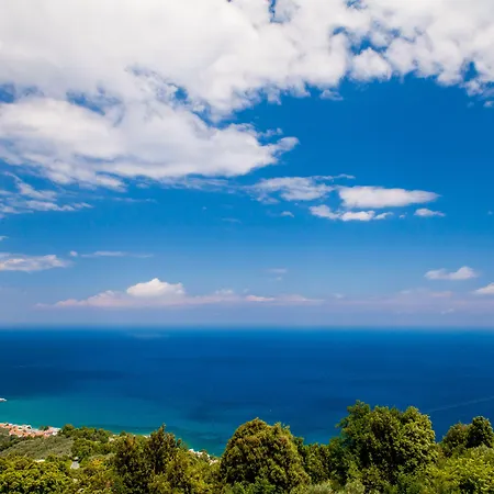 Lions Nine Apart Otel Mourésion