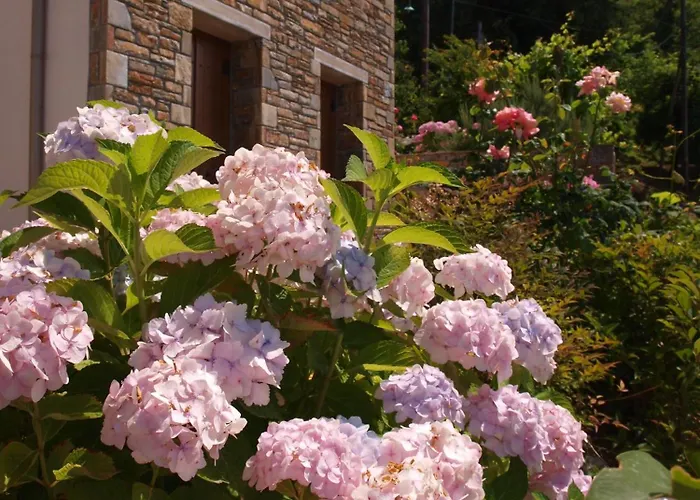 Aparthotel Lions Nine Mouresi