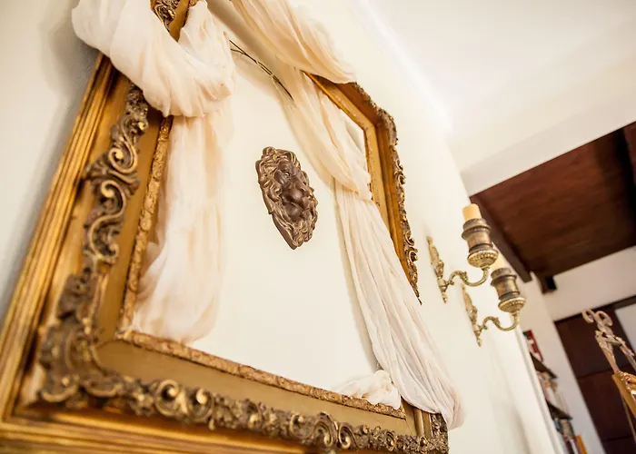 Lions Nine 4* Mouresi